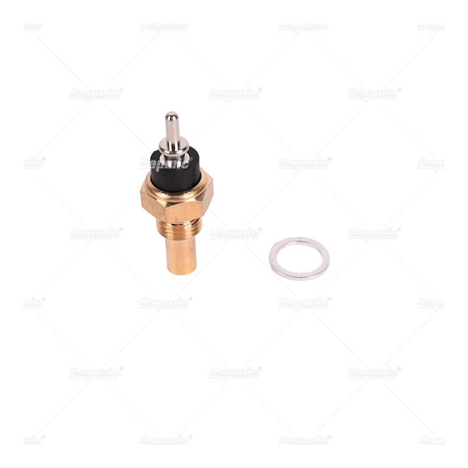 BAPMIC BACB11-750012