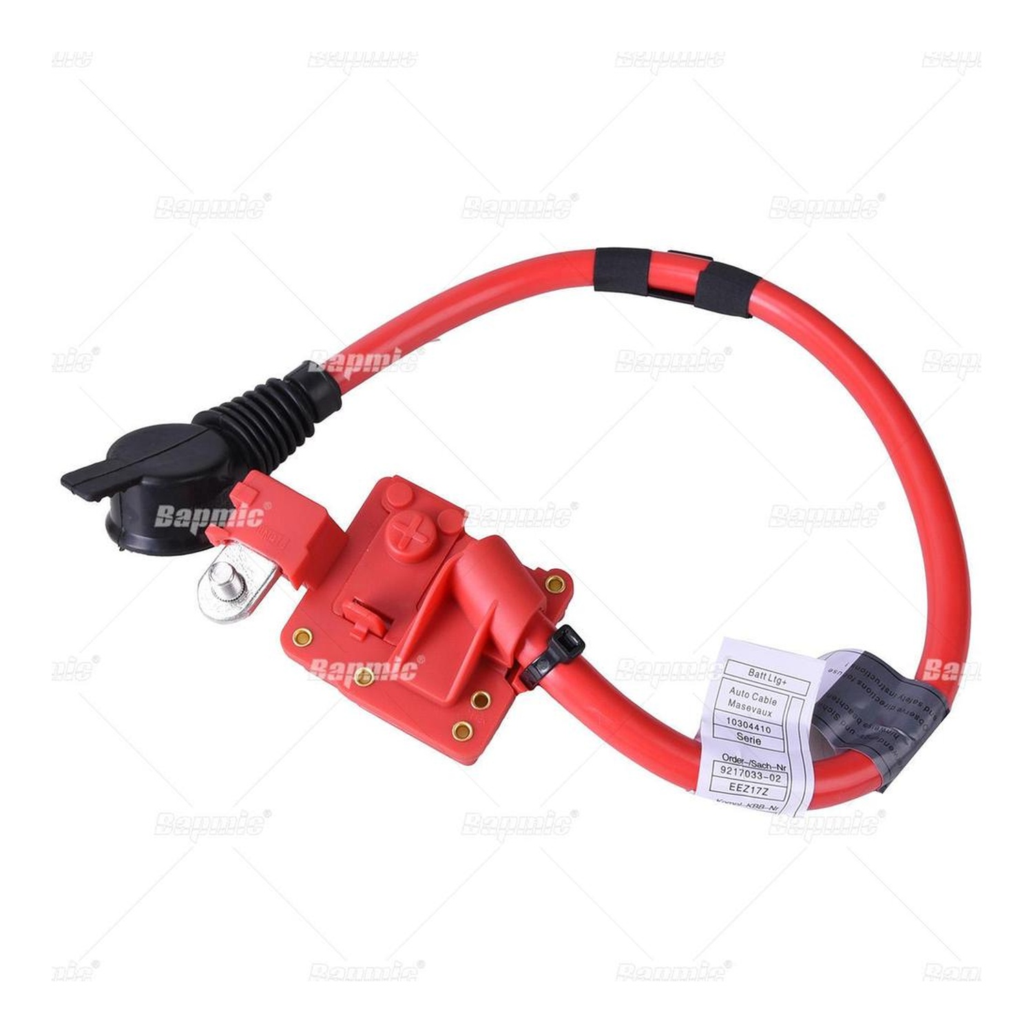 BAPMIC BF0422930003