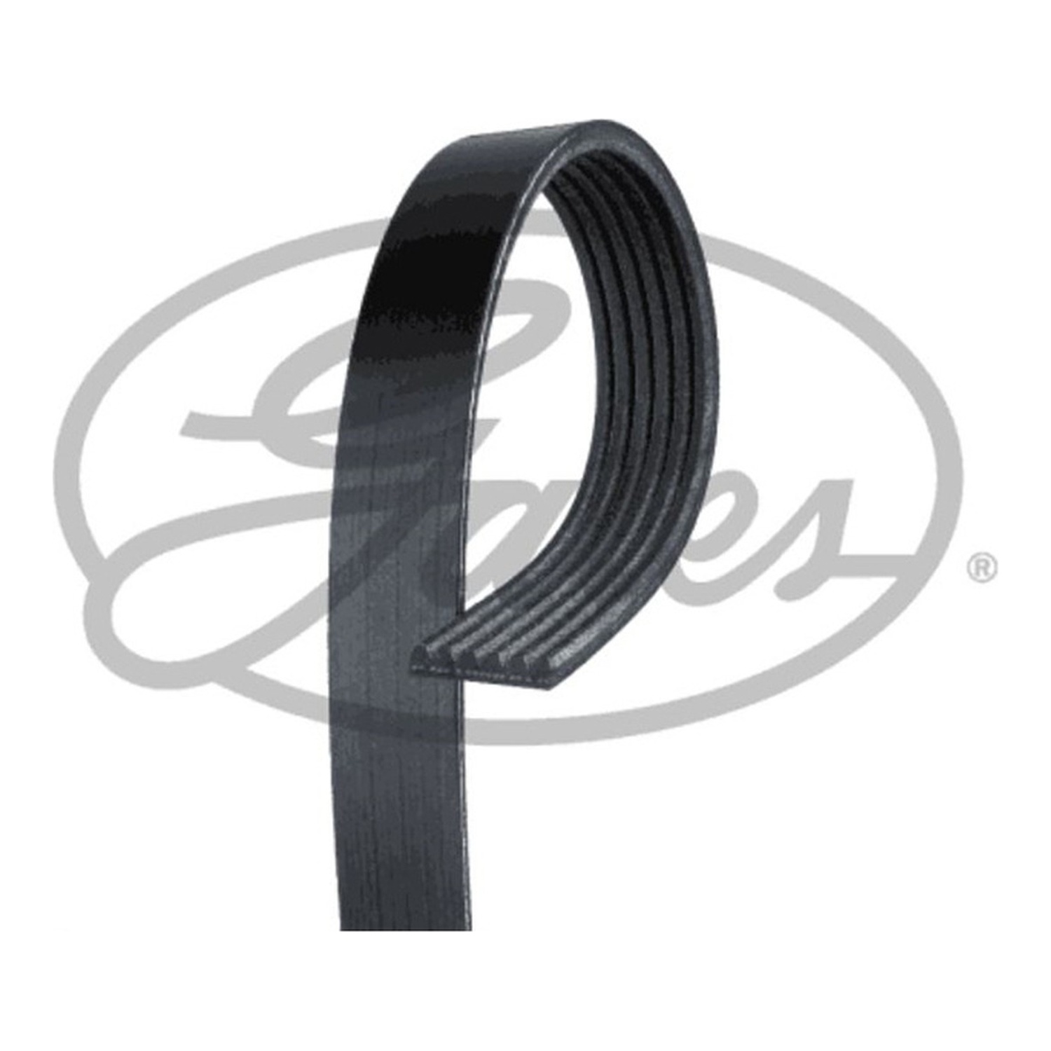 GATES 팬벨트 6PK1070 폭스바겐 CC 2.0 TDI (358)·BMW M3 (E92)·아우디 Q3 2.0 TDI (8U) 호환 OE 03L903137·11287838200